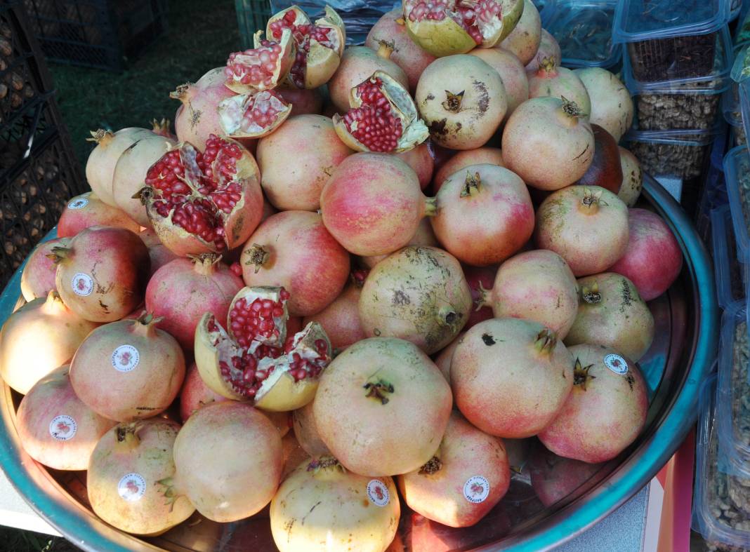 Gazipaşa'da Çekirdeksiz Nar ve Tropikal Meyve Festivali 1